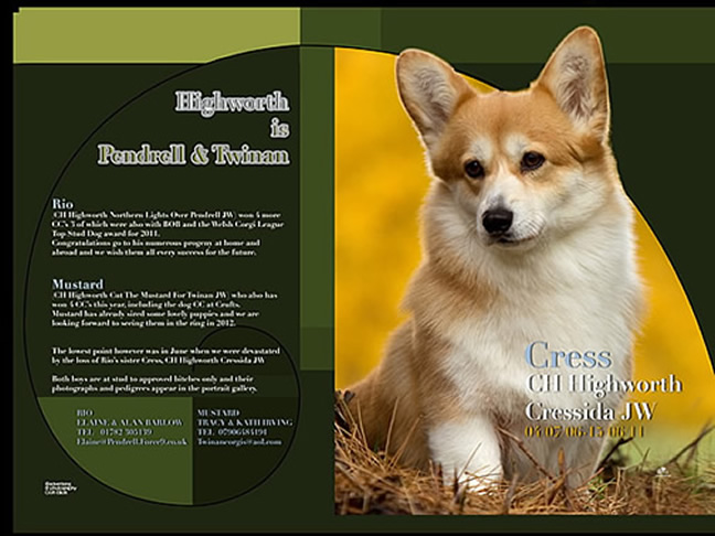 Twinan 2011 Handbook - Highworth and Cressida
