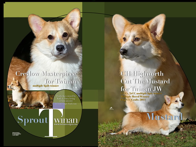 Twinan 2011 Handbook - Sprout and Mustard