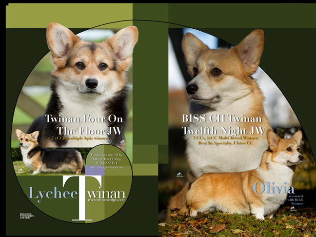 Twinan 2011 Handbook - Lychee and Olivia