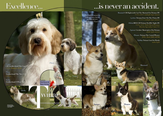 Twinan Advert for 2011 OurDogs Annual