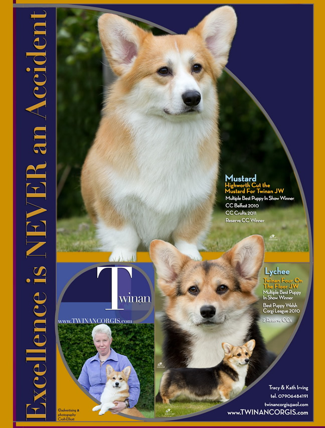 Highworth Cut the Mustard for Twinan and Twinan Four on the Floor Advert