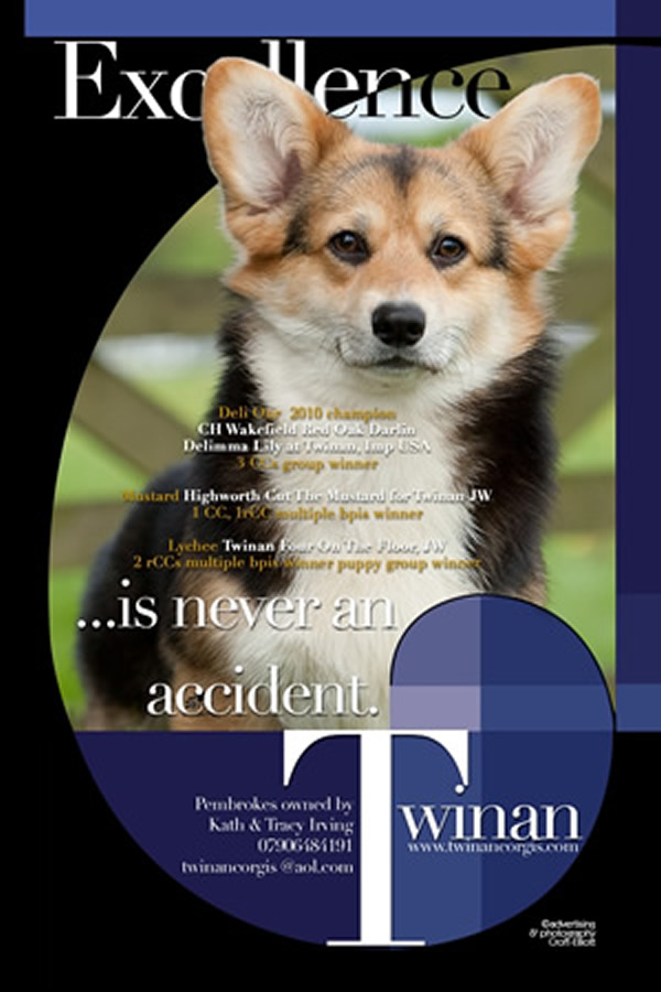 Twinan Four on the Floor in 2010 Handbook Advert